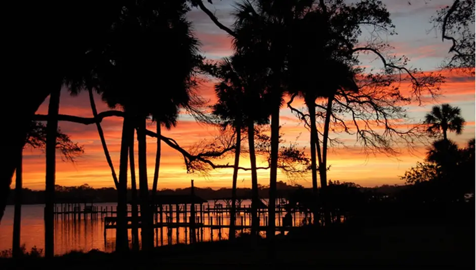 2. Ormond Scenic Loop & Trail