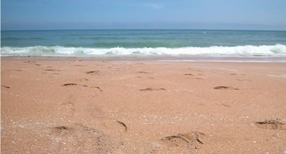 6. Ormond Beach's Beautiful Beaches