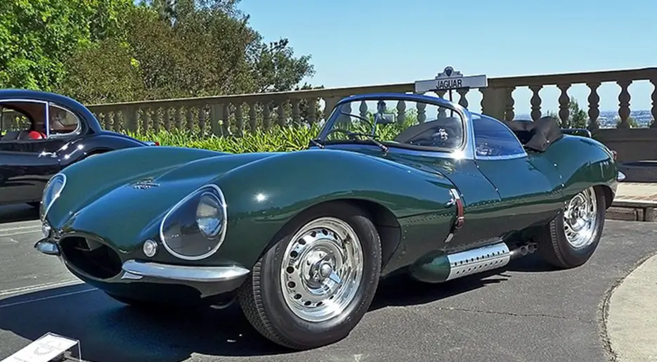 Why Do Neighbors Compete?