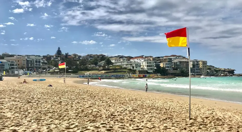 5. Lifeguards and Safety