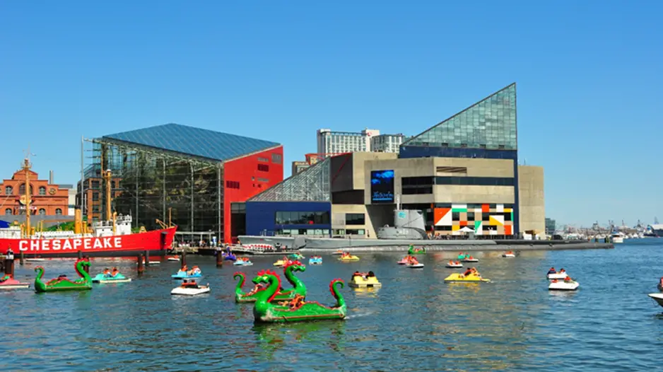3. National Aquarium, Baltimore